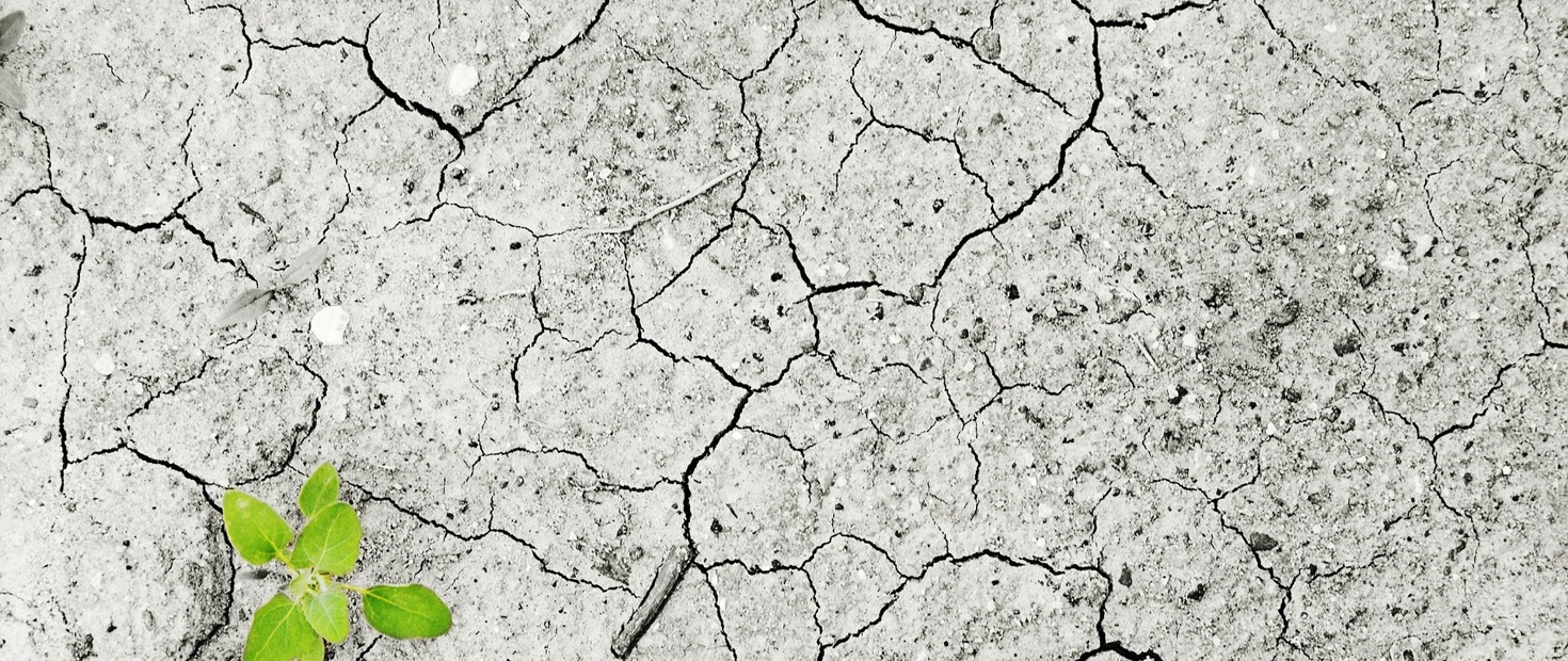 IAA Discussion Paper on Climate Change